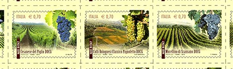 Vino docg